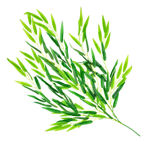 Enredadera Jardin Vertical Deco Ramo Planta X10u Diseño 0