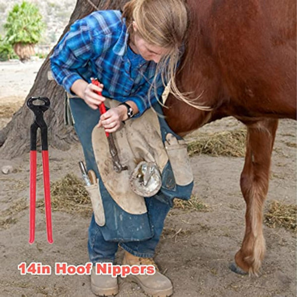 Ujd Farrier Tools - Kit De Herramientas 1 Ujd Farrier Tools - Kit De Herramientas 1