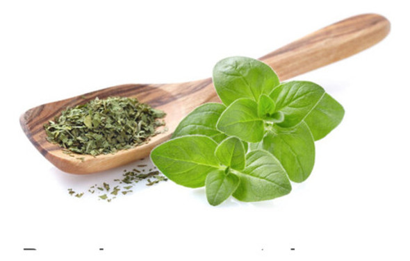 Oregano Chileno X 5 Kg 0