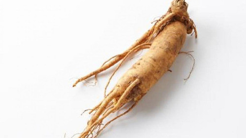 Ginseng Raiz 0