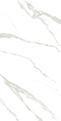 Porcelanato Spl 120x240 1ra Pul Calacata White Totos 0