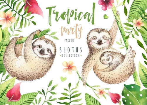 Cliparts Png Sloth Perezosos Acuarela Watercolor Pa54 0