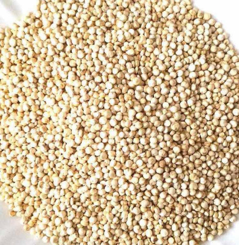 Semillas De Quinoa Bulto X 5 Kg X Mayor 0