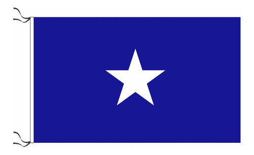 Bandera Bonnie Blue República De Texas 150x90cm 0