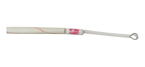 Fusible Termico 10a 250°c X 10unidades 0
