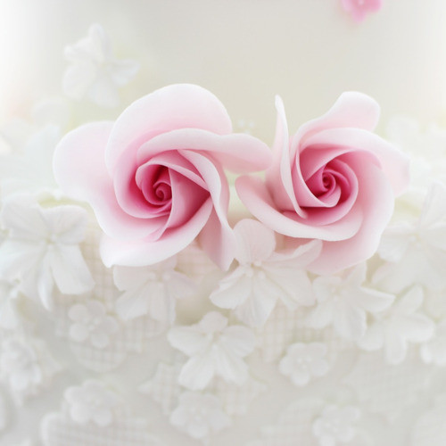 Texturador De Flores En Silicona Cód. 8003 1