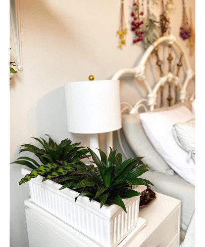 The Hc Companies 30  Venetian Planter Box Saucer En Blanco 1