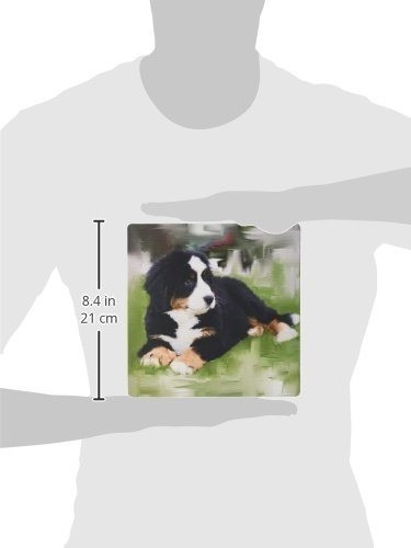 3drose Llc 8 x 8 x 0.25 inches Mouse Pad, Bernese Mountai 1