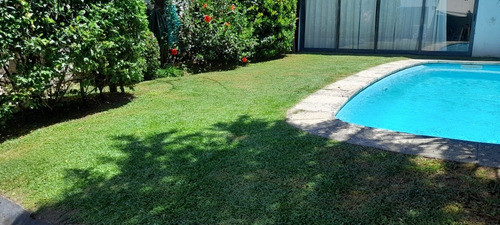 Jardineria, Colocación De Cesped , Mantenimiento 1