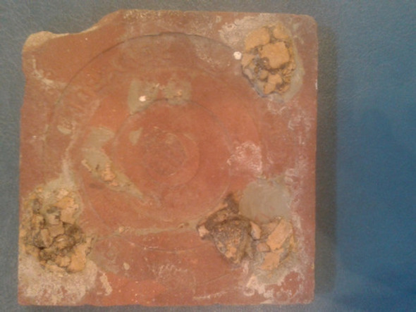 Antiguo Azulejo Mayolica Baldosa  Ceramica 11 Cm 1