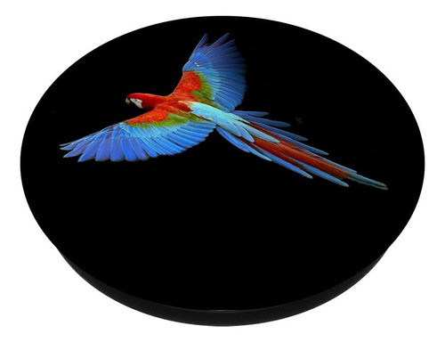 Anillo Para Celular - Loro Azul/rojo 1