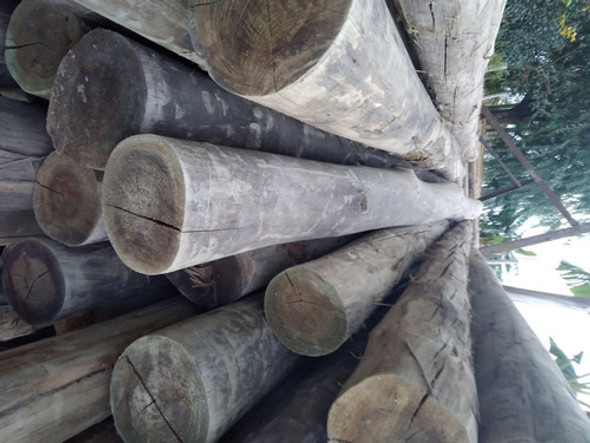 Postes Palos De Eucalipto Impregnado 10-13cm  Diám. X Metro 1