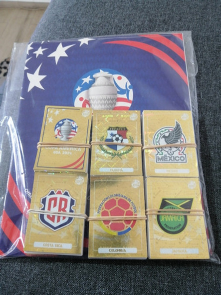 Álbum Copa América 2024 Completo 0