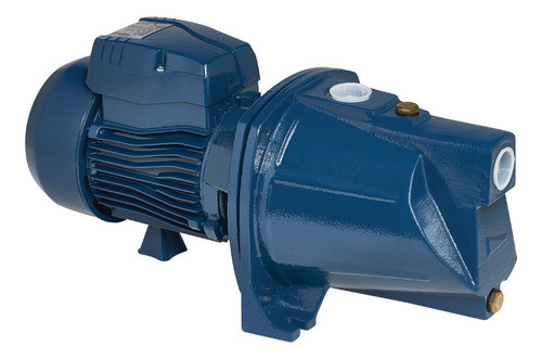 Bomba Autoaspirante Pluvius Jet60 1/2 Hp Riego Eleva 40 Mts 0