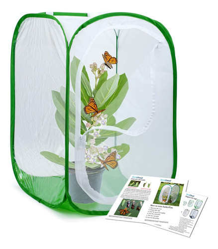 Habitat De Mariposa Con Fondo De Poliéster Para Limpiar 0