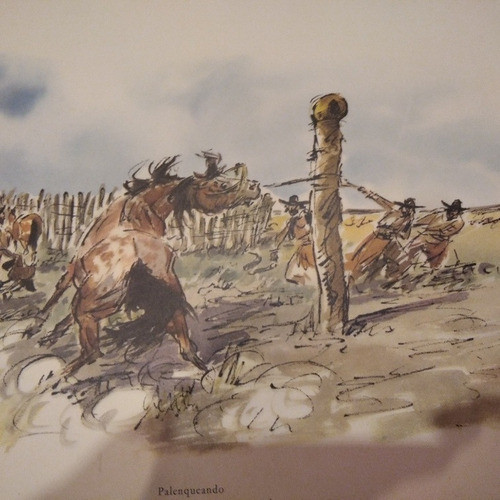 Antiguas Laminas De Castells Capurro Original Precio X C Una 1