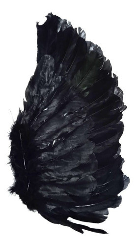 Asa Anjo Anjo Preto  Fantasia Penas Sintética 1