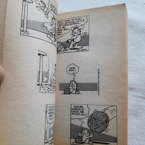 Garfield - Life And Lasagne - Jim Davis Ravette Books Ingles 1
