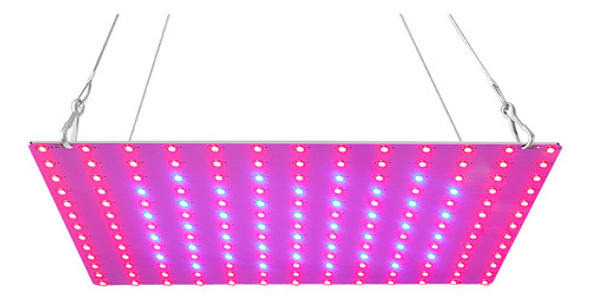 Led Grow Light Red Blue Full Spectrum 169 Leds Grow Lâmpadas 0