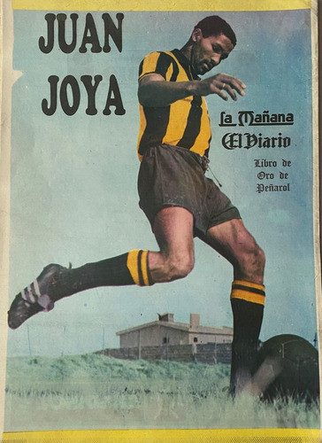 Poster Peñarol Del Libro De Oro 1991 Juan Joya Ez2c 0