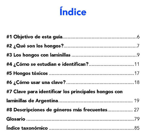 Guia De Identificación De Hongos Con Laminillas 1