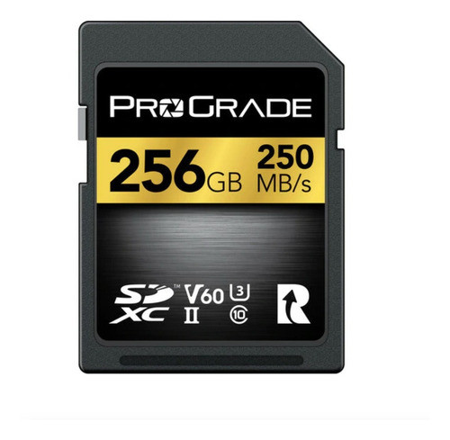Memoria Prograde Digital Sd 256gb 250mb/s 130mb/s Sdxc 0