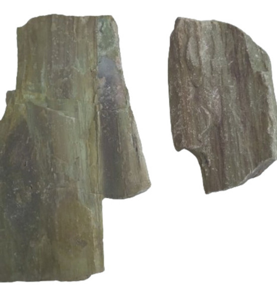 Corteza De Arbol Petrificado En Piedra Antigüedad 12mil Años 1