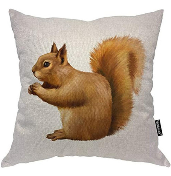 Moslion Squirrel Pillow Home Decor Throw Pillow Cover Case L 0