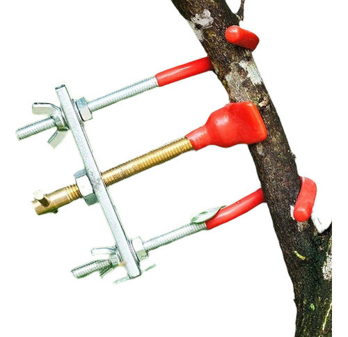 Bonsai Ramas Bender Excepcional Maravillosa Instalación Gira 0