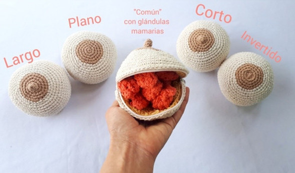 Kit Puericultura. 5 Tetas Didácticas Con Diversos Pezones 0