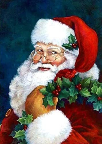 Pintura Por Diamantes Kit Completo 30x40cm -9hx5xz4m 0