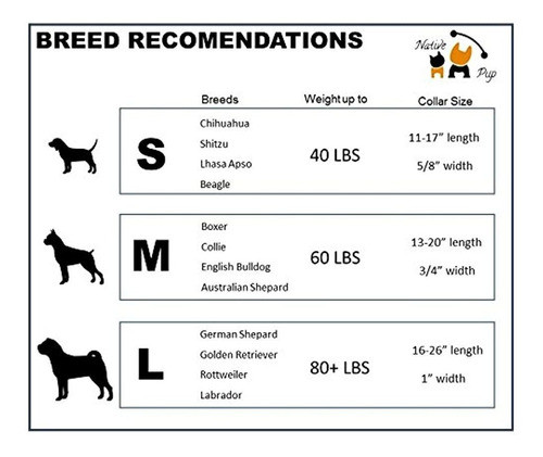 Collar De Perro Nativo De Accion De Gracias | Lindo Otoño, 1