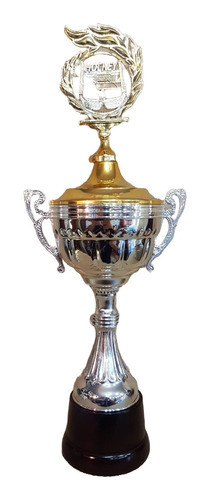 Copa Trofeo Plástico Asas Plateada Hockey Base Madera 47cm 0