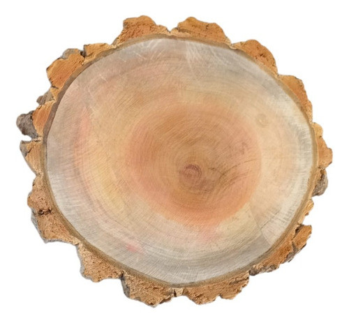 Bolacha De Madeira 22 Cm Decoração Arte Rústica Bandeja 1