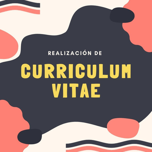 Diseño De Currículum Vitae Personalizado 0