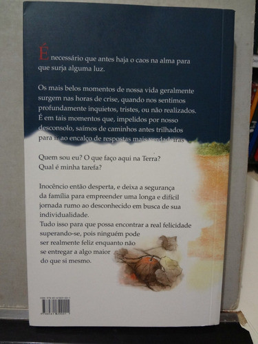 Livro O Despertar Do Inocêncio Valdi Ercolani 1