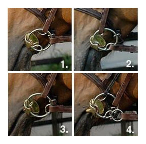 Jacaranda Freno Caballo Bridon Alas Beval 1