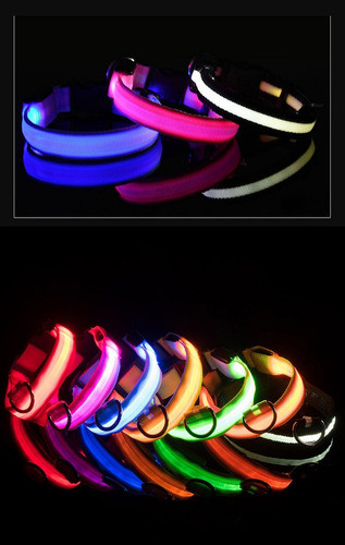 Collar Con Luz Led Baterías Recargables Mascotas Xs-s-m 1