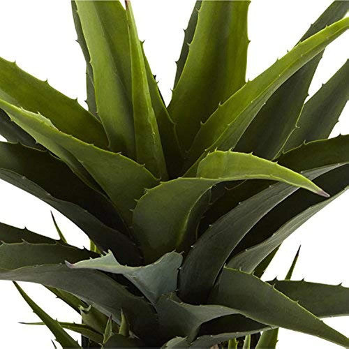 Planta De Agave Casi Natural 4856 Con Verde Plantador Negro 1