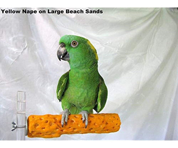 Pollys Beach Sands Bird Perch Pequeño 0