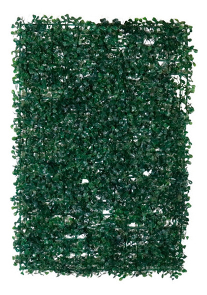 Placa Grama Buchinho Verdes Paredes 40x60 Kit C/ 20 0