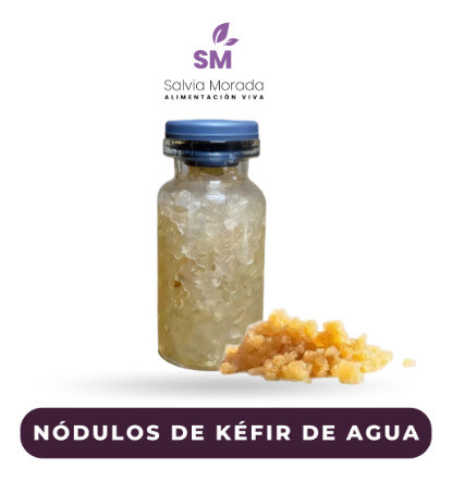 Nodulos Tibicos - Kefir De Agua 1