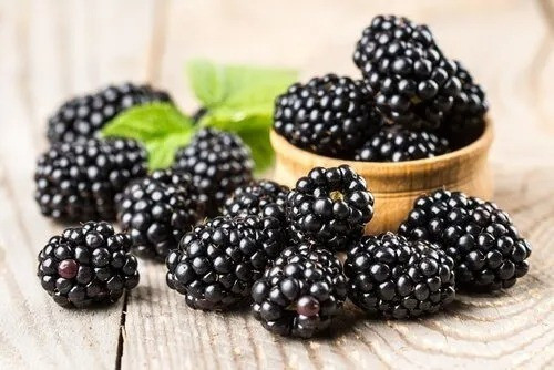 Moras Congeladas Excelente Calidad! 0