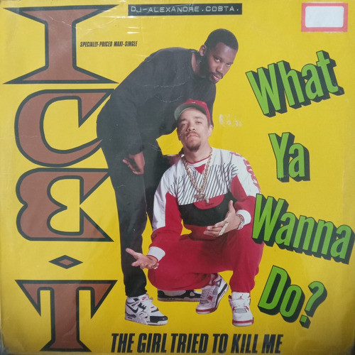 Ice-t What Ya Wanna Do? 0