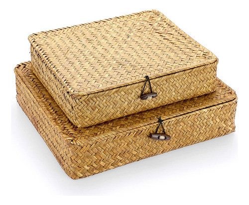Hipiwe Juego De 2 Cubos De Almacenamiento De Mimbre Tejidos 0