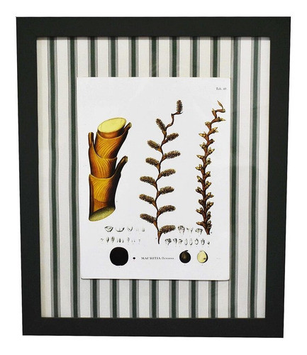 Quadro Decorativo Botanico Com Tecido Verde 6 Panic 63x52 Cm 0