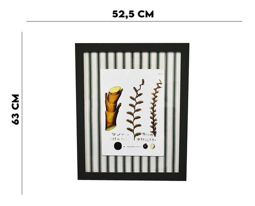 Quadro Decorativo Botanico Com Tecido Verde 6 Panic 63x52 Cm 1