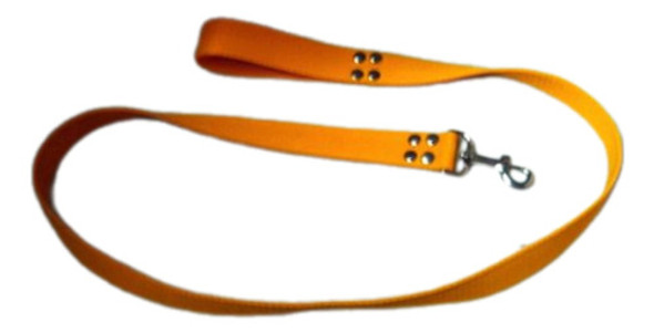 Correa De Perro, Color Amarillo. 0