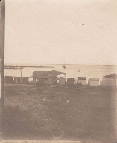 Punta Del Este 1922 Fotografia Casas Playa Mansa Maldonado 0