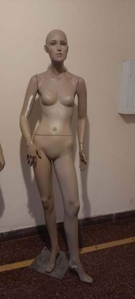 Maniquie Mujer 0
